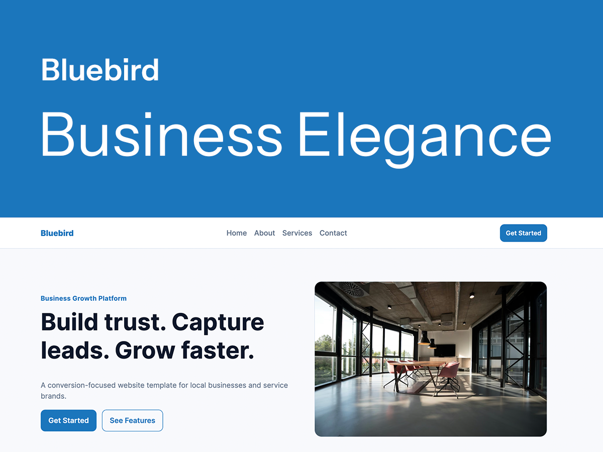 BlueBird Business preview